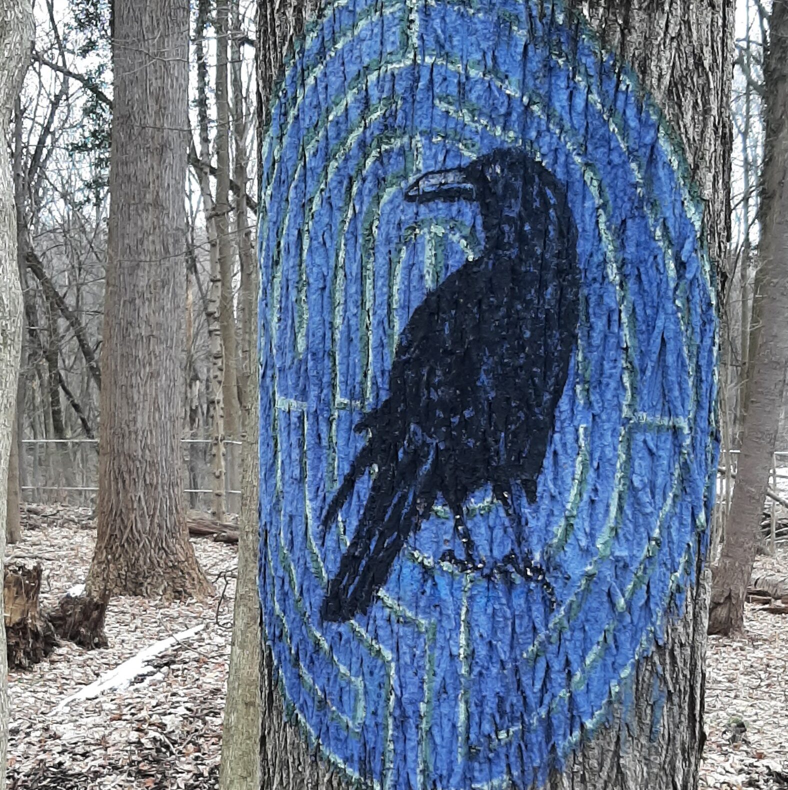 Image of Raven painted on a tree.